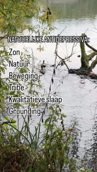 NATUURLIJKE ANTIDEPRESSIVA:

☀️ Zon
🌳 Natuur
💪 Beweging
🧑‍🧑‍🧒‍🧒 Tribe
😴 Kwalitatieve slaap
👣 Grounding

Deze zijn slechts enkele van de punten waarvan we werken tijdens een onze groepstraject De Clan van de Drum.

👉🏻Ga naar de bio link en join de Clan! 
🗓️ Start: 19/1/25

Healthy, strong, wild & free!