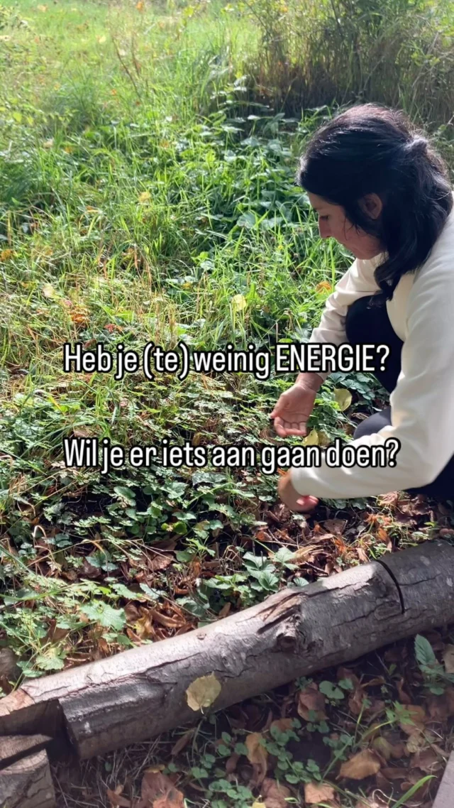 Je hebt (te) weinig energie?

Zou het kunnen dat…

🔹Je niet genoeg beweegt ?

🔹 je niet genoeg slaapt ?

🔹 je veel ultra bewerkte producten eet ?

🔹 je veel stress hebt ?

🔹 je niet genoeg water drinkt ?
…

Al deze en nog vele andere factoren kunnen  ertoe bijdragen dat je je altijd moe voelt.

Misschien is het wel hoog tijd om dingen te veranderen.

Uiteraard kan je dit op jezelf doen. 

Maar in groep kan het ook!

Liever samen ? 
Join dan de Clan van de Drum!

🗓️ Ons groepstraject start op 19/1/25

⭕️ Meer info via link in bio