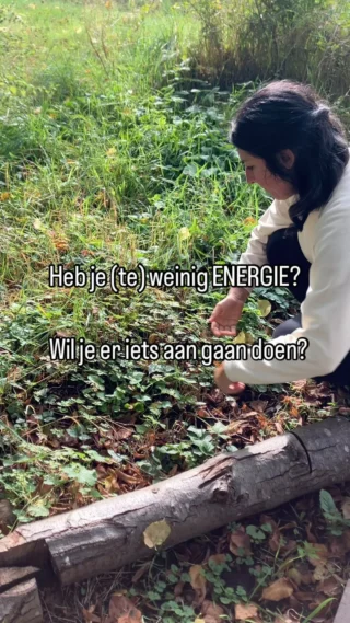 Je hebt (te) weinig energie?

Zou het kunnen dat…

🔹Je niet genoeg beweegt ?

🔹 je niet genoeg slaapt ?

🔹 je veel ultra bewerkte producten eet ?

🔹 je veel stress hebt ?

🔹 je niet genoeg water drinkt ?
…

Al deze en nog vele andere factoren kunnen  ertoe bijdragen dat je je altijd moe voelt.

Misschien is het wel hoog tijd om dingen te veranderen.

Uiteraard kan je dit op jezelf doen. 

Maar in groep kan het ook!

Liever samen ? 
Join dan de Clan van de Drum!

🗓️ Ons groepstraject start op 19/1/25

⭕️ Meer info via link in bio