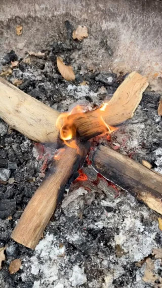 Building the team 

#rewilding #rewildinglifestyle #woodsman #estilodevida #lifestyle #nature #estilodevidasaludable #teambuilding #bushcraft #natuonaalparkbrabantsewouden #plantsandherbs #plantasmedicinales