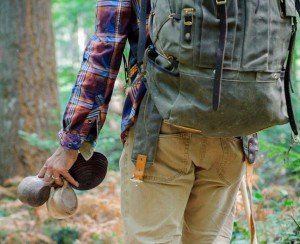 rewilding coach