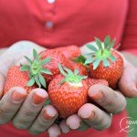 Por qué comer luz es importante