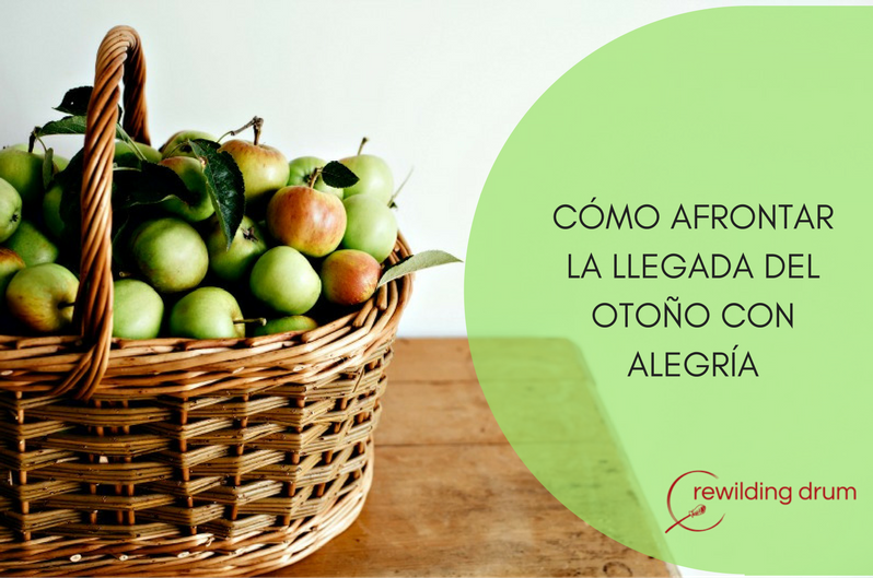 CÓMO AFRONTAR LA LLEGADA DEL OTOÑO CON ALEGRÍA