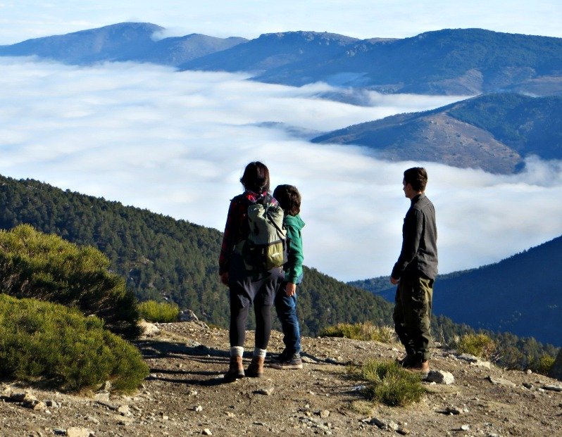 Rewilding, ¿es posible en una gran ciudad? Crónica desde Madrid