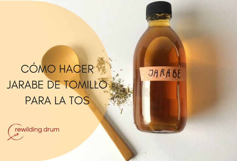 Como Hacer Jarabe De Tomillo Para La Tos Rewilding Drum