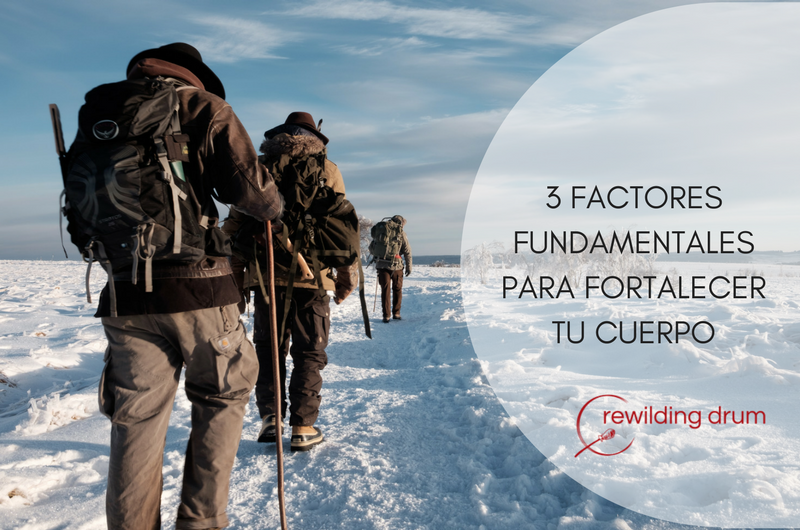 3 FACTORES FUNDAMENTALES PARA FORTALECER TU CUERPO