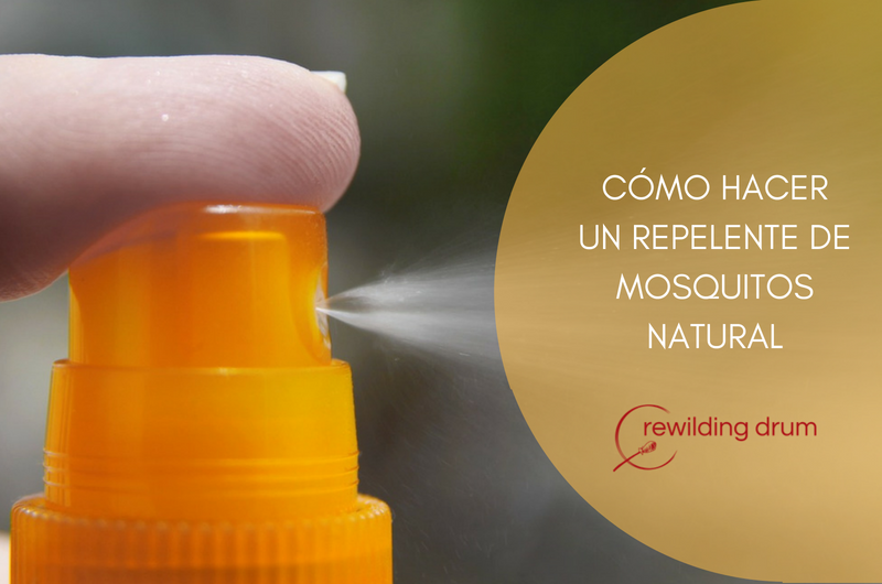 Intensivo fantasma Auckland CÓMO HACER UN REPELENTE DE MOSQUITOS NATURAL - Rewilding Drum