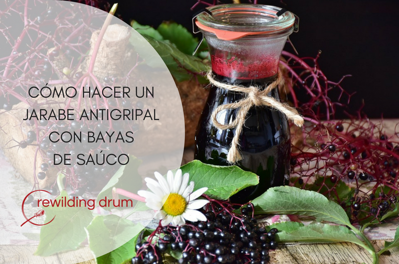 CÓMO HACER UN JARABE ANTIGRIPAL CON BAYAS DE SAÚCO