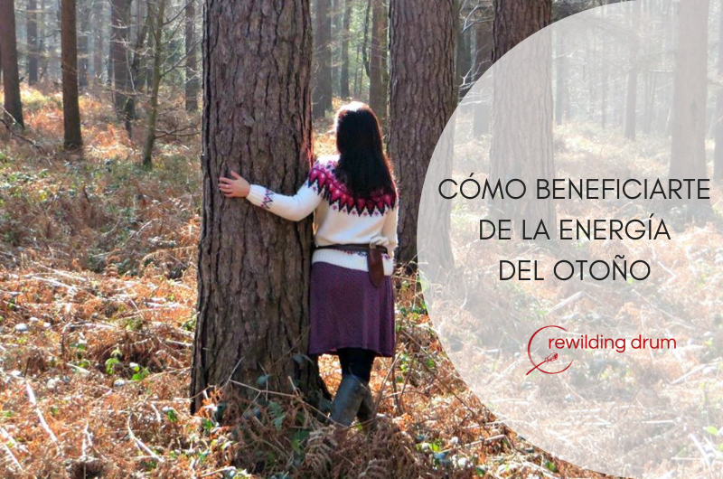 CÓMO BENEFICIARTE DE LA ENERGÍA DEL OTOÑO