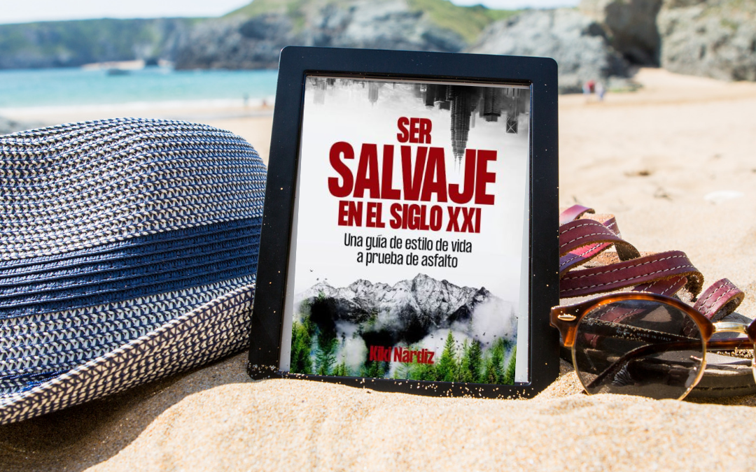 LIBROS RECOMENDADOS PARA ESTE VERANO (2019)