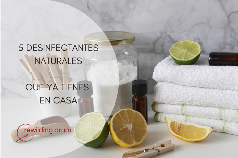 5 DESINFECTANTES NATURALES QUE YA TIENES EN CASA