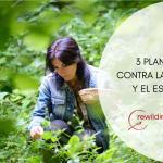 3 PLANTAS CONTRA LA FATIGA Y EL ESTRÉS